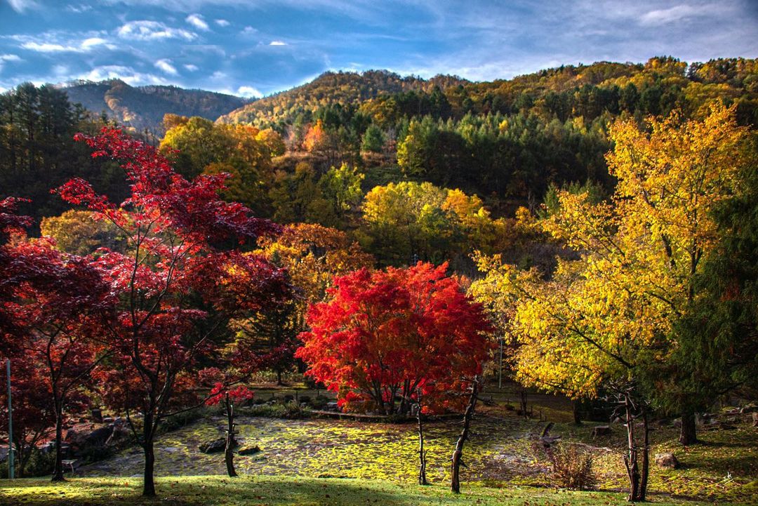 紅葉の絶景コース
